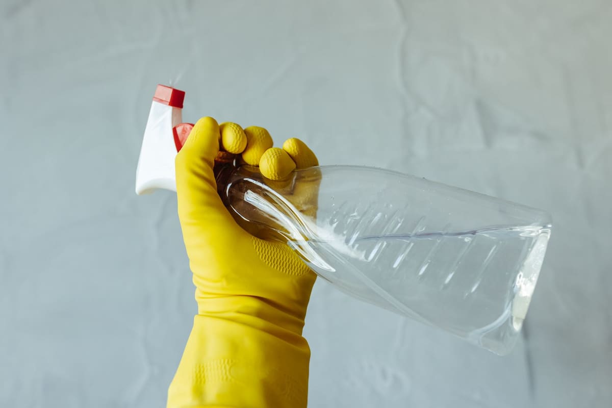 Pulvérisation d'eau savonneuse au savon noir contre les mille pattes sur une plinthe