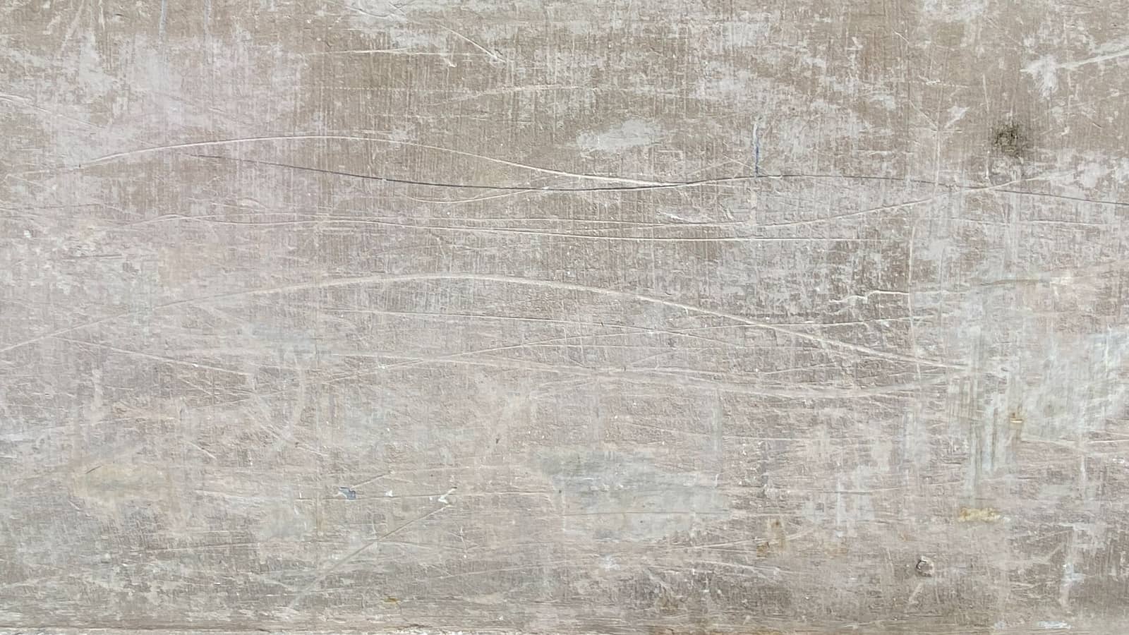 Mille pattes brun se déplaçant sur un mur humide de cave